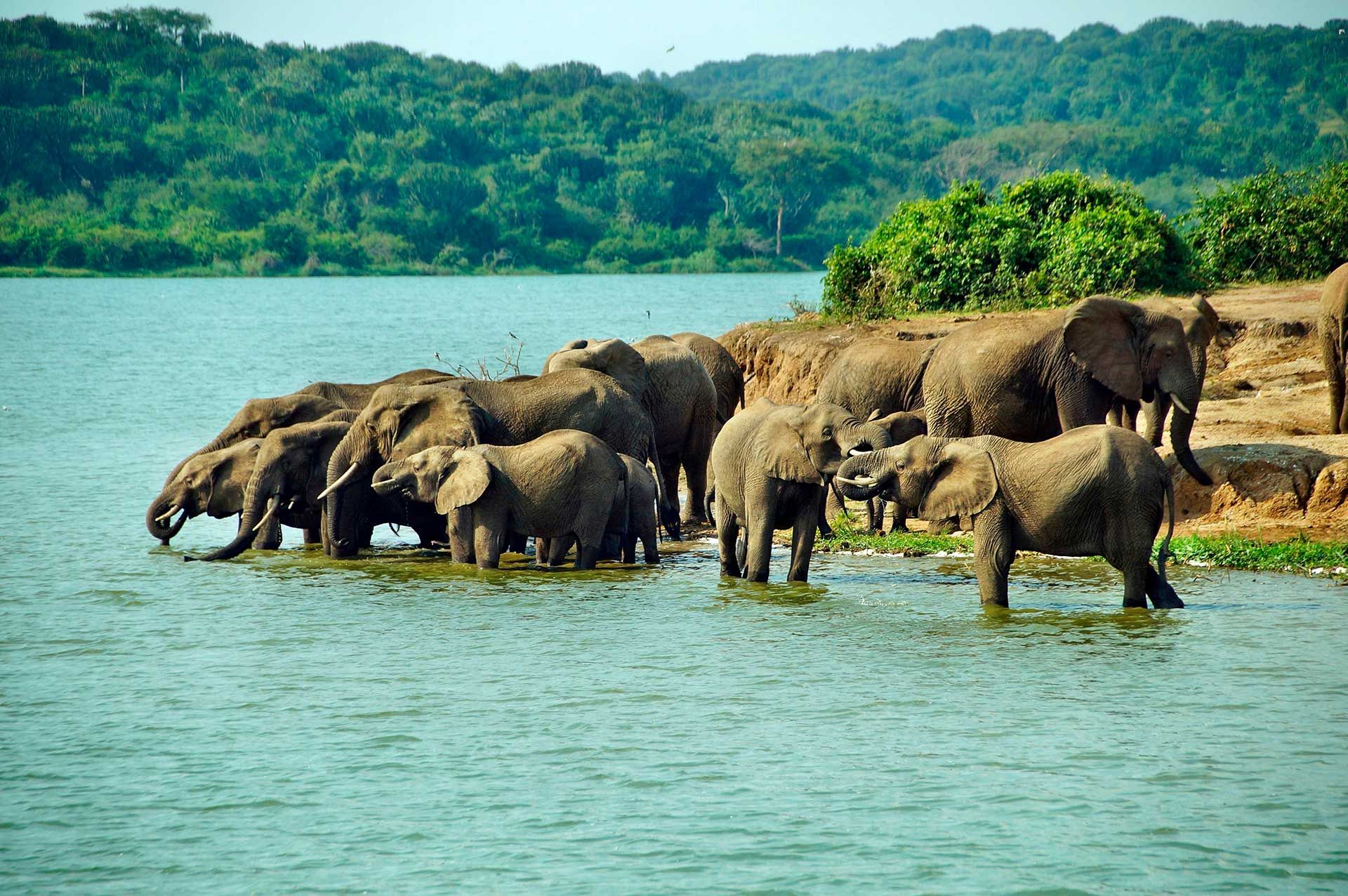 9 Days Africa Safari Trip in Uganda Itinerary